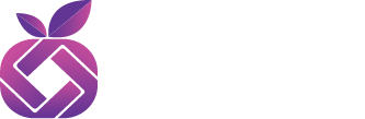 Website Development & Social Media Management | Molla