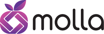 Website Development & Social Media Management | Molla