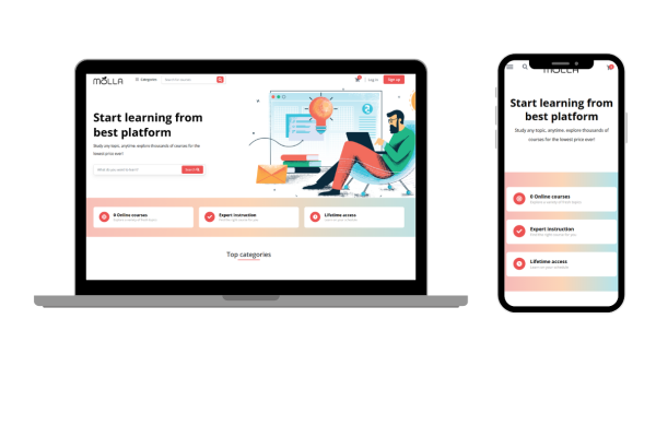 Education, Online courses